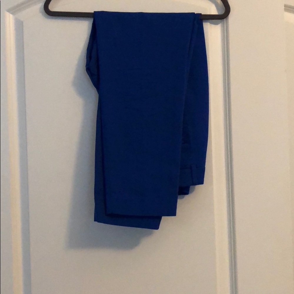 Blue Express Editor Pant